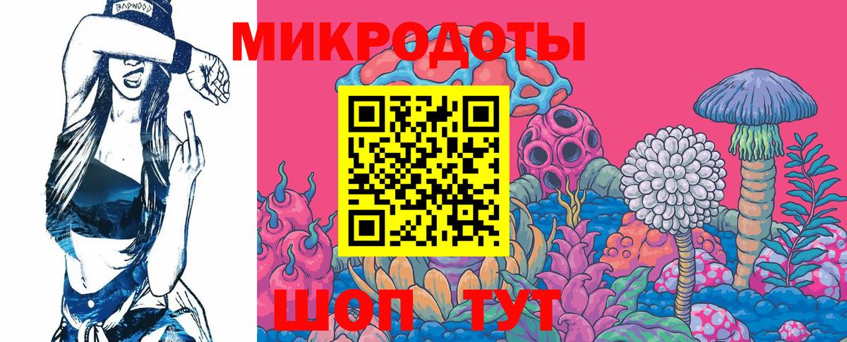 Псилоцибиновые грибы Psilocybine cubensis Биробиджан